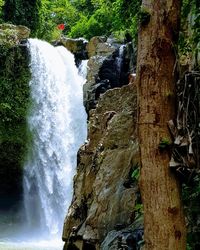 Scenic view of waterfall in forest