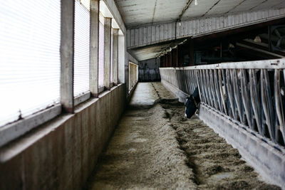 Corridor of building