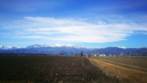 Scenic view of agricultural field against sky