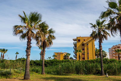 Landscape with buildings and palm trees, on a sunny afternoon.