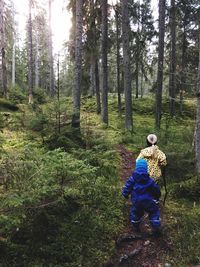 Rear view of boy in forest