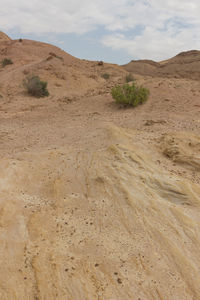 Scenic view of desert against sky