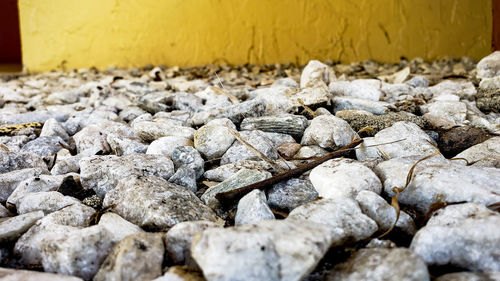 Close-up of stones on stone wall