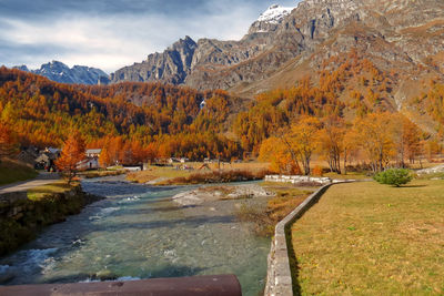 The colors of autumn at alpe devero