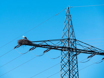 Low angle view of birds on electricity pylon against blue sky