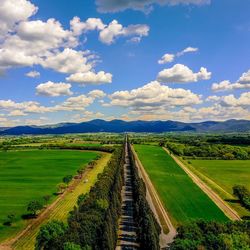 Scenic view of agricultural field against sky