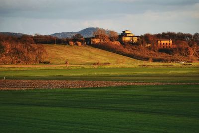 Scenic view of field against sky