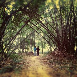 Rear view of woman walking on footpath in forest