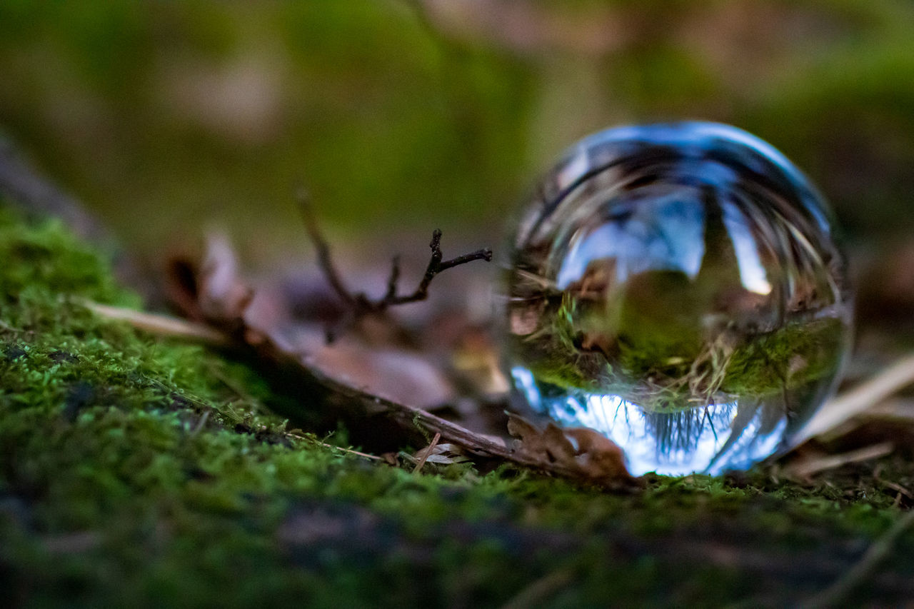 CLOSE-UP OF A BALL ON A GLASS