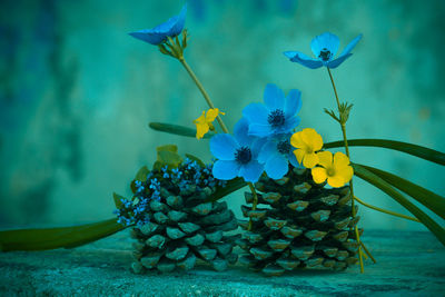 Close-up of blue flowering plant in sea