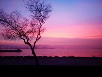 Silhouette bare tree by sea against sky during sunset