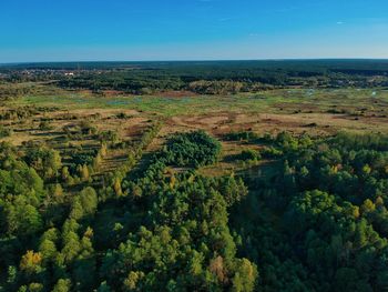 High angle view of trees on landscape against sky