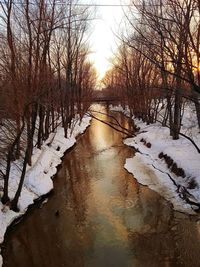 Stream amidst frozen trees against sky during winter