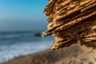 Close-up of eroded rock on shore