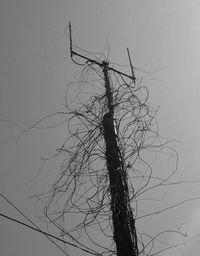 Low angle view of bare tree against sky