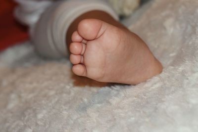 Close-up of baby feet