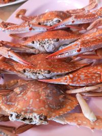 Close-up of crabs in plate