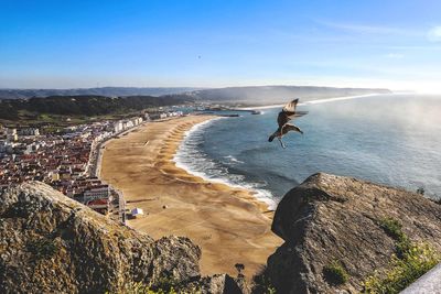 Epic landing of a seagull on a epic landscape 