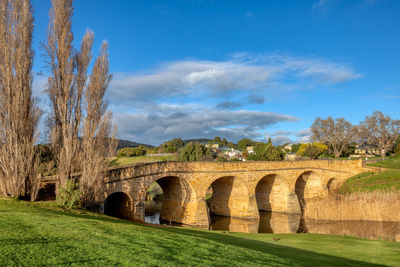 Trees and arch bridge against blue sky