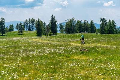 Man on field by trees against sky