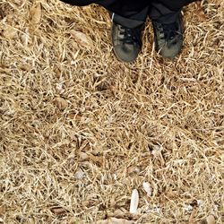 Low section of man standing on ground