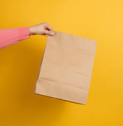 Woman holding in hand brown blank craft paper bag for takeaway on yellow background. packaging 