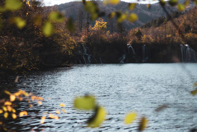 Scenic view of lake