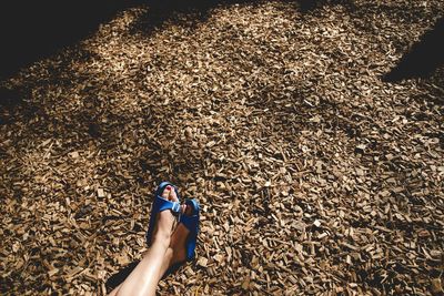 Low section of woman sitting on wood chips