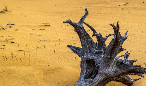 Close-up of sand