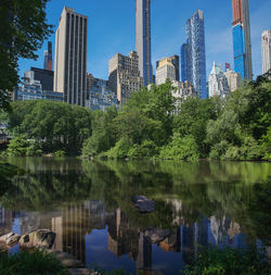 Reflection of trees and buildings in lake