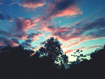 Silhouette of trees against cloudy sky