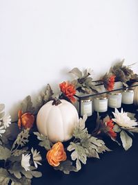 Close-up of flowers in vase against white background