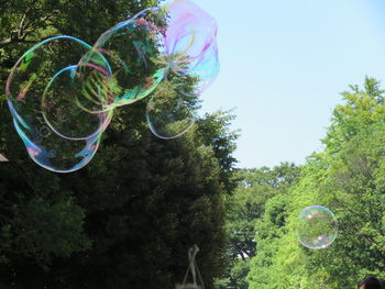 Close-up of bubbles in park against sky