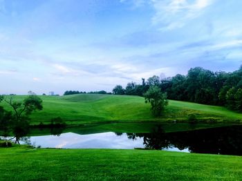 Scenic view of field against sky