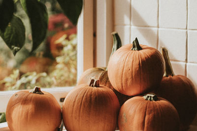 Close-up of pumpkins for sale