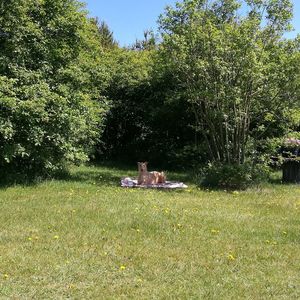 Man lying on grass in park