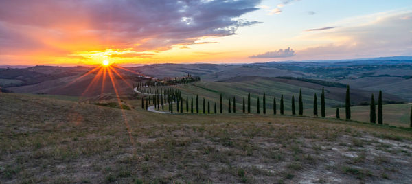 Scenic view of field against sky during sunset