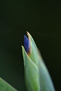 Close-up of blue background