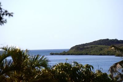 Scenic view of sea against clear sky
