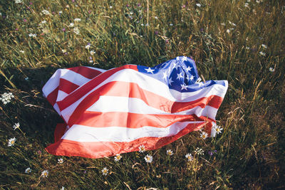 Low angle view of american flag on grass