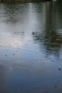 Reflection of trees in water