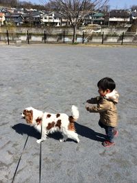 Cute boy with dog walking on street