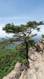 Scenic view of tree mountain against sky