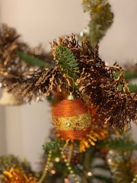 Close-up of christmas tree