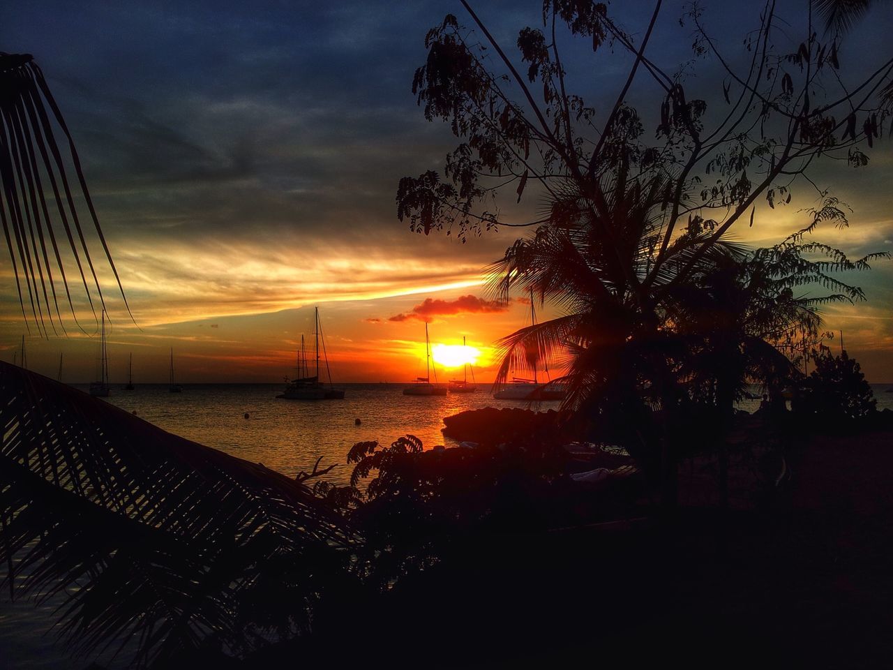 sunset, sky, sea, silhouette, scenics, beauty in nature, sun, orange color, tranquility, water, tranquil scene, beach, horizon over water, nature, tree, cloud - sky, idyllic, shore, sunlight, branch