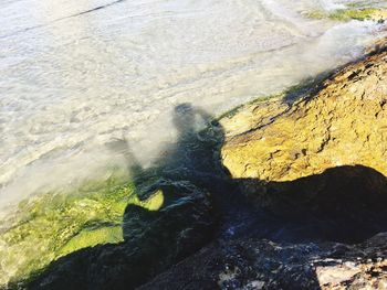 High angle view of shadow on rock in sea