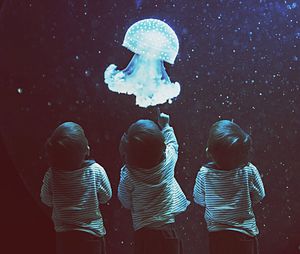 Multiple image of boy looking at jellyfish in aquarium