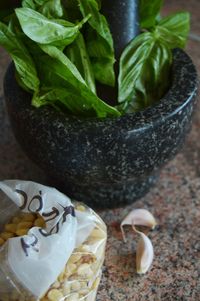 Close-up of basil leaves in traditional mortar by garlic and pine nut