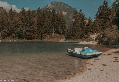 Scenic view of lake by trees against sky