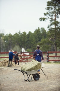 Farmer walking towards sons working by fence in farm